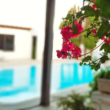 One Bedroom House With Private Pool Enclosed Garden And Wifi At Nazaret